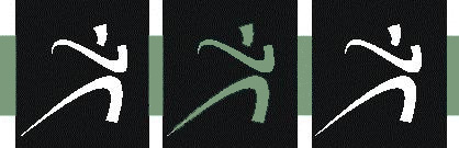 AV Chiro Logo